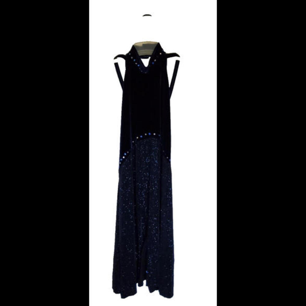 Art Stone Dance Dress Royal Blue Choker Neck Velvet Theatre Costume Large Pet